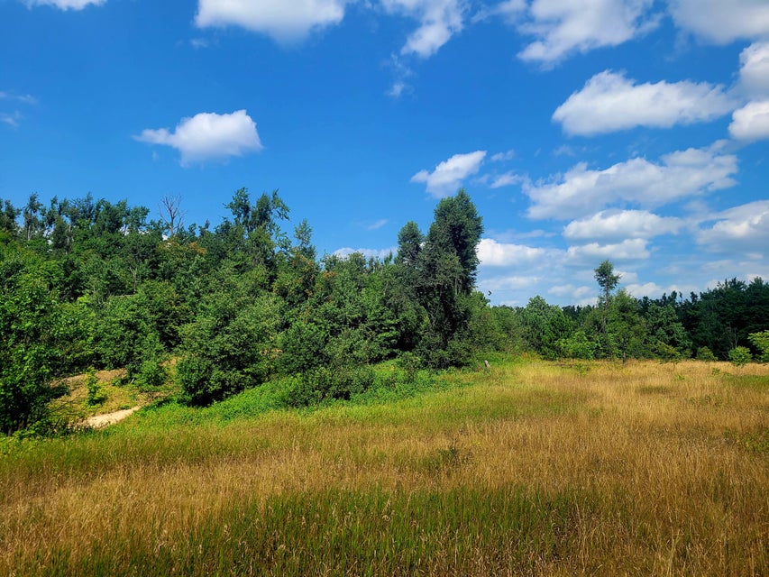 Open acreage under blue sky