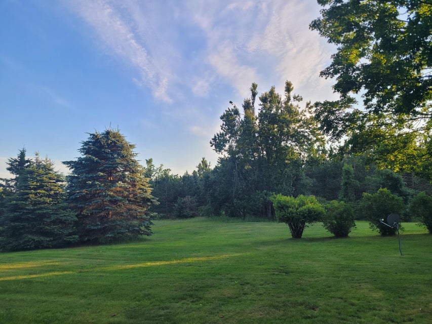 Large lawn and mature trees